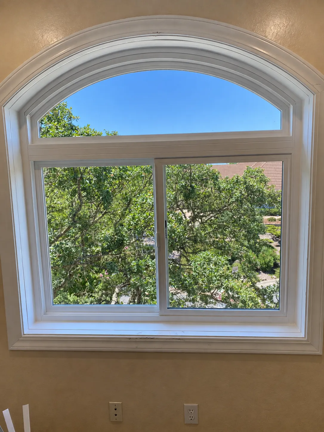 Tall white arched window with a semicircular top overlooking leafy trees